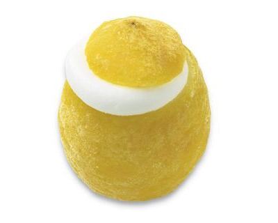 Zitronenfrüchte mit Sorbet 4 x 120 ml