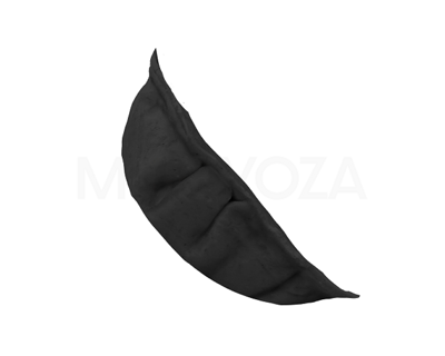 Gyoza Ebi mit Crevetten 90 x 22 g CH