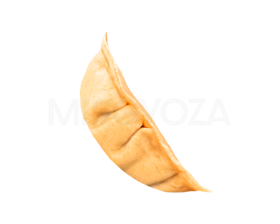 Gyoza Tori mit CH-Poulet 90 x 22 g CH