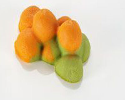 Erbsen-Möhrengemüse püriert 25x50g