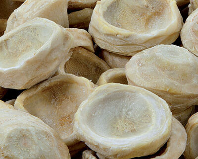 Artischocken Böden 1 x 10 kg