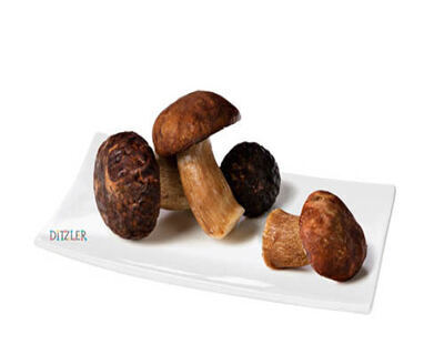 Steinpilze ganz Ost-Europa 5 x 1 kg