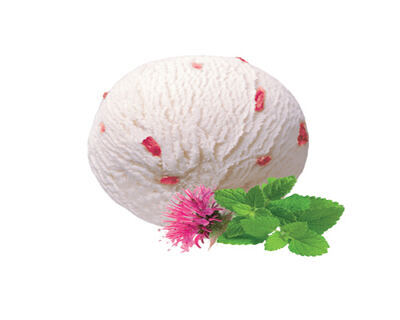 Zitronen- & Goldmelissen Sorbet CH 2 lt