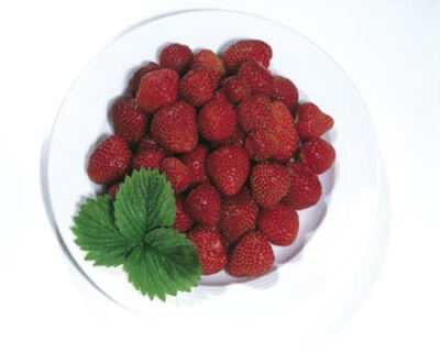 Erdbeeren 2 x 2.5 kg Ditzler