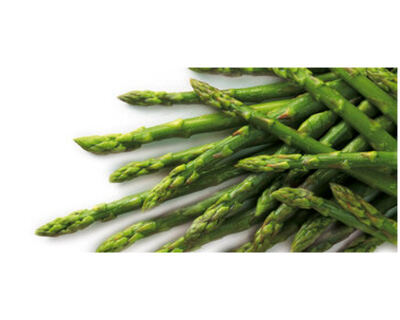 Spargeln grün 5 x 1 kg Bolay Chile