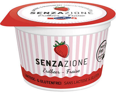 Erdbeer Becher Lactosefrei 20 x 100 ml