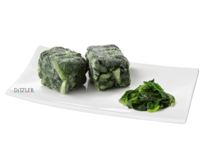 Lattich Blatt Suisse Garantie 2 x 2.5 kg