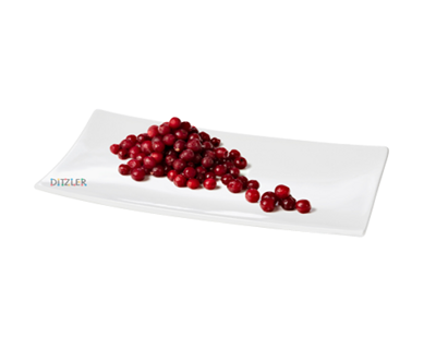 Preiselbeeren 2 x 1 kg Ditzler