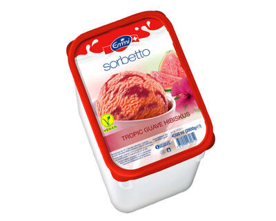 Sorbetto Tropic Guave Hibiskussauce 4 lt