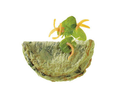 Omeletten Rahmspinat ca. 30 x 135 g Kadi