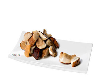 Steinpilze Stücke 5 x 1 kg Ditzler EU